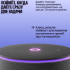 Yandex умная колонка с поддержкой ZigBee Яндекс.Станция Мини 3 Про (черный) YNDX-00059BLK