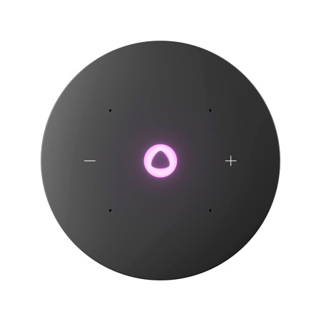 Yandex умная колонка с поддержкой ZigBee Яндекс.Станция Мини 3 Про (синий)